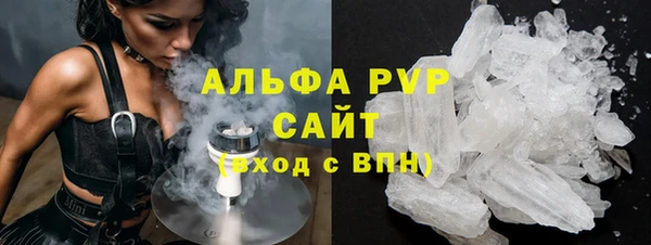 прущие грибы Новозыбков