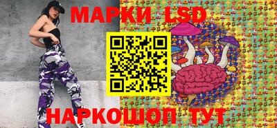 гидра Будённовск