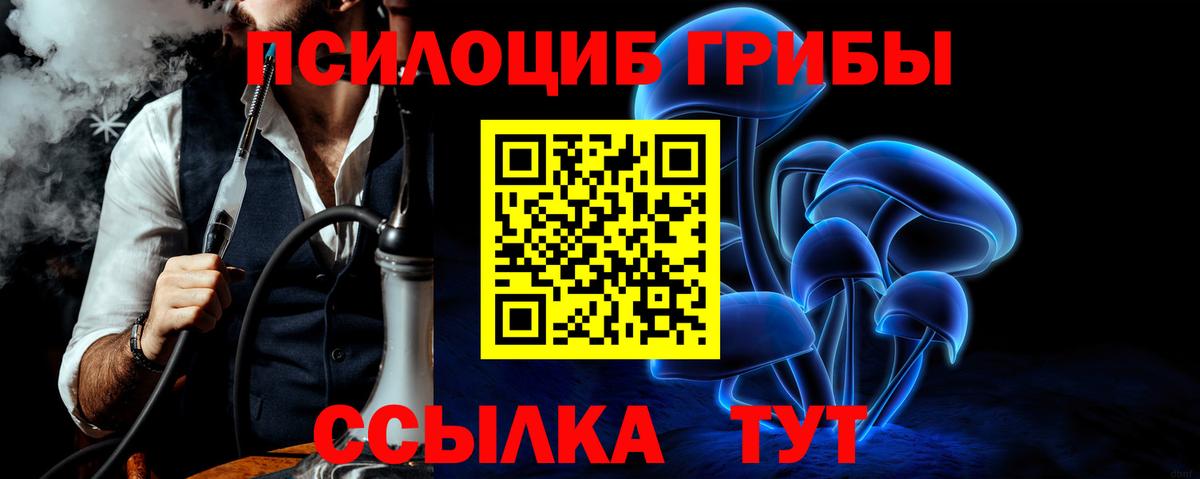 Скопин  Псилоцибиновые грибы Cubensis  Вход с VPN 